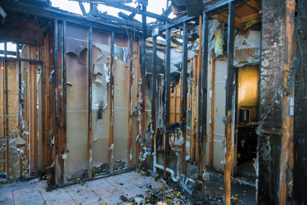 Professional Fire Damage Repair technician working in Sneedville, TN